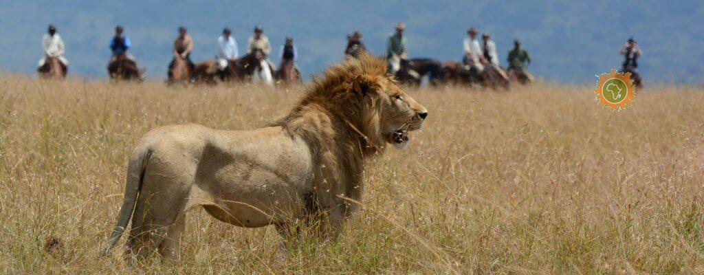 Afriken Travel