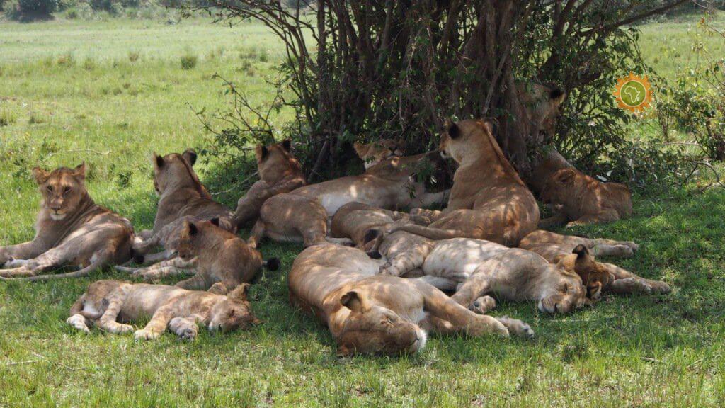 Afriken Travel