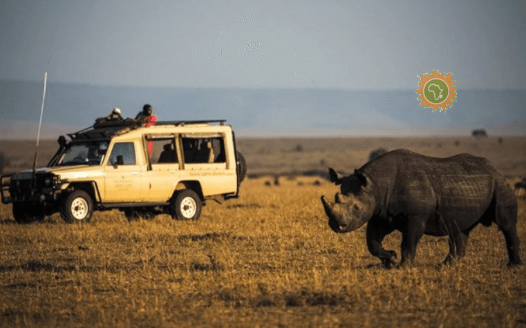 Afriken Travel